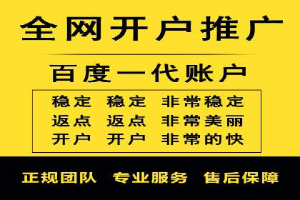 SEM运营公司成功案例解析