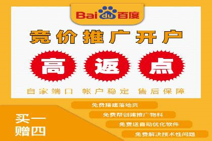 百度竞价代理实战：案例剖析与优化策略